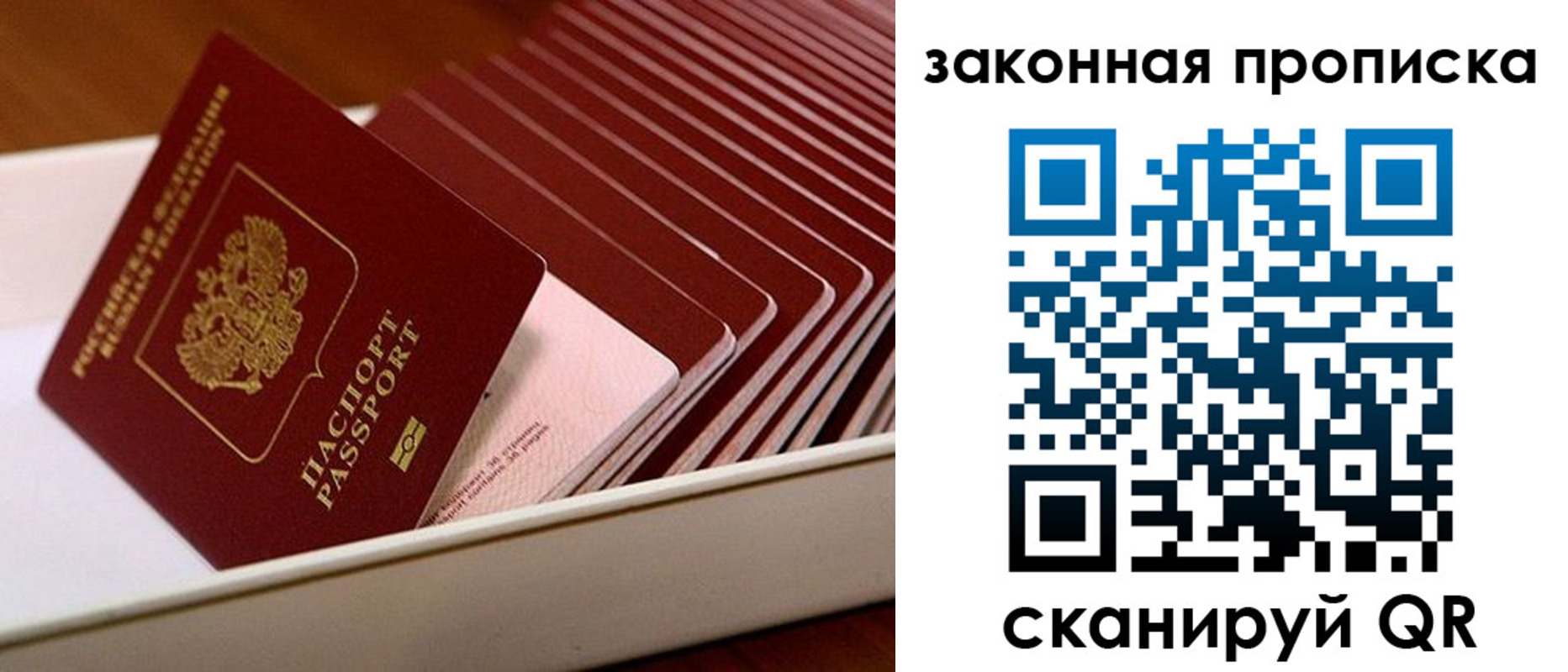 прописка ребенка в Тосно